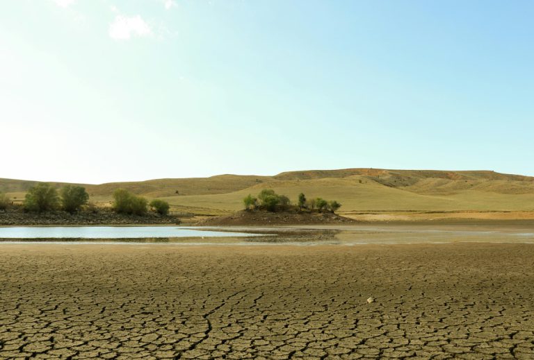paisaje que muestra la sequía